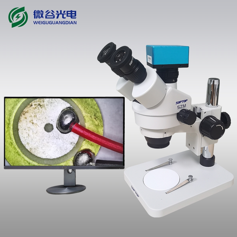 体视显微镜的使用